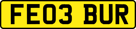 FE03BUR