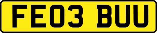 FE03BUU