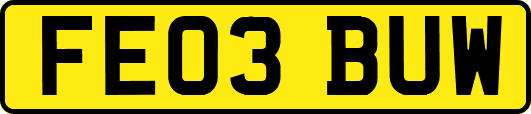 FE03BUW