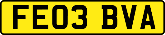 FE03BVA