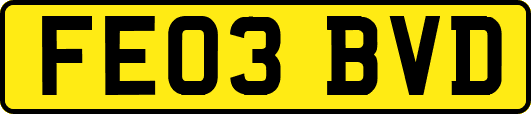 FE03BVD