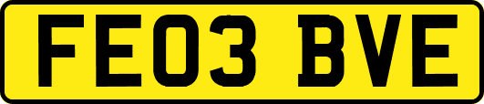 FE03BVE