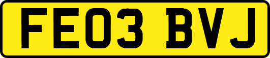 FE03BVJ
