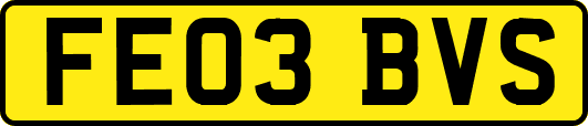 FE03BVS
