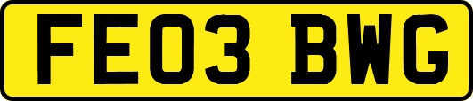 FE03BWG