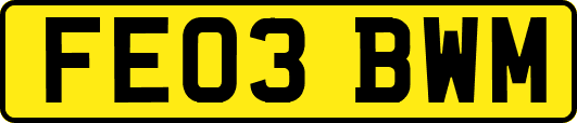 FE03BWM