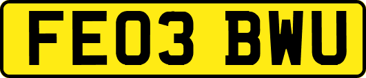 FE03BWU