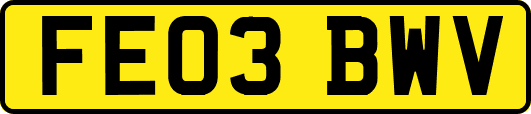 FE03BWV