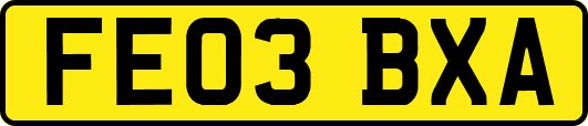FE03BXA