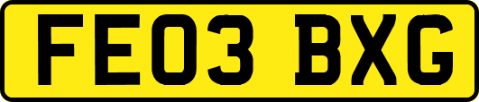 FE03BXG