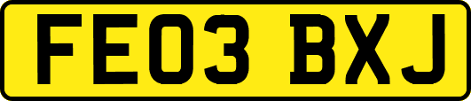FE03BXJ