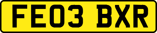 FE03BXR