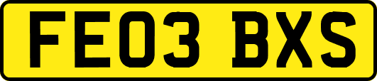 FE03BXS