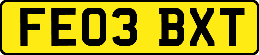 FE03BXT