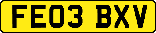 FE03BXV