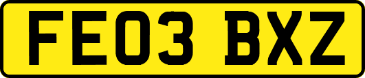 FE03BXZ