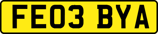 FE03BYA