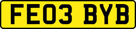 FE03BYB