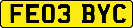 FE03BYC