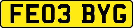 FE03BYG