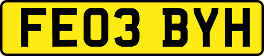 FE03BYH