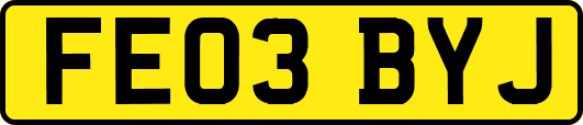 FE03BYJ