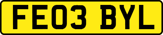 FE03BYL