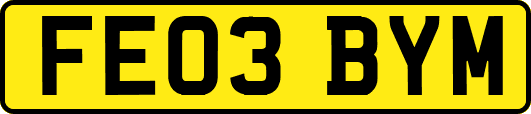 FE03BYM