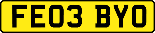 FE03BYO