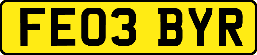 FE03BYR