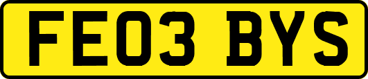 FE03BYS