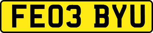 FE03BYU