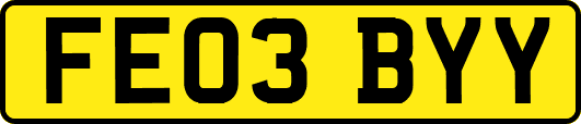 FE03BYY