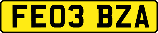 FE03BZA