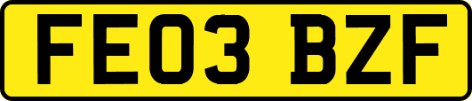 FE03BZF