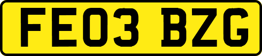 FE03BZG