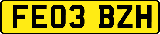 FE03BZH