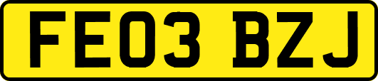 FE03BZJ