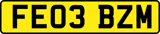 FE03BZM