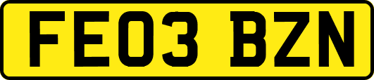 FE03BZN