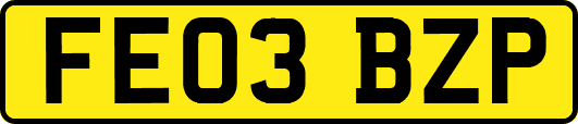 FE03BZP