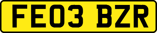 FE03BZR