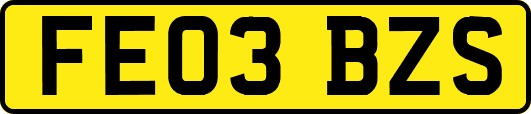 FE03BZS