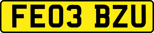 FE03BZU