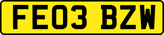 FE03BZW