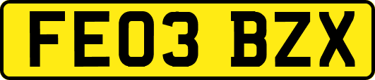 FE03BZX