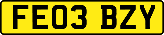 FE03BZY