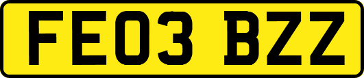 FE03BZZ