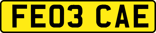 FE03CAE
