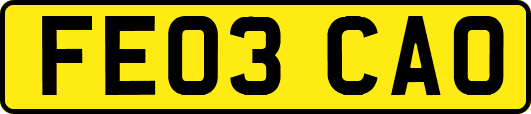 FE03CAO